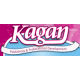 Kagan Publishing