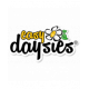 Easy Daysies Ltd.